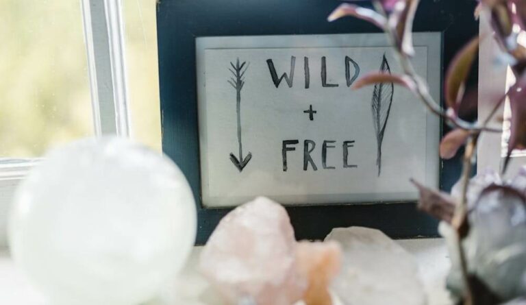 Crystals to clear negative energy in front of a sign that says wild and free.